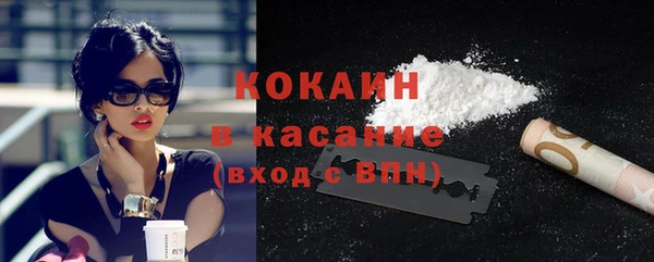 сатива Зеленокумск