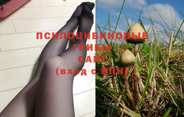 крисы Зеленодольск