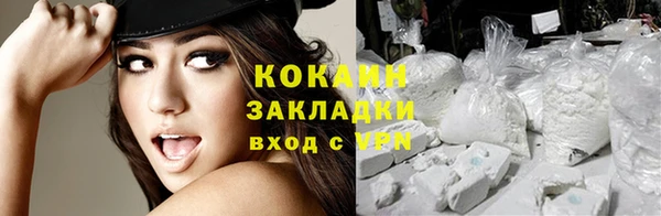 крисы Зеленодольск