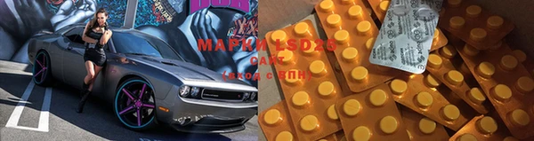 сатива Зеленокумск
