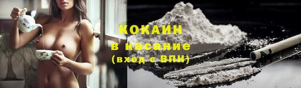 крисы Зеленодольск