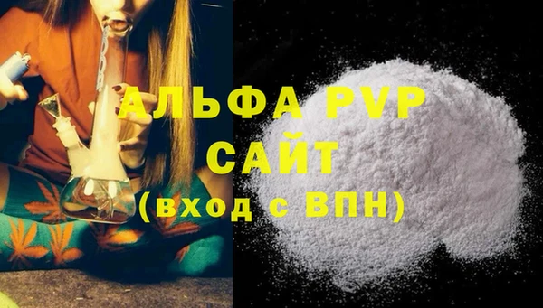 сатива Зеленокумск