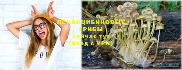 сатива Зеленокумск