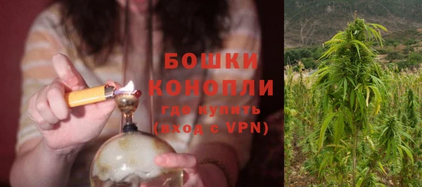 крисы Зеленодольск
