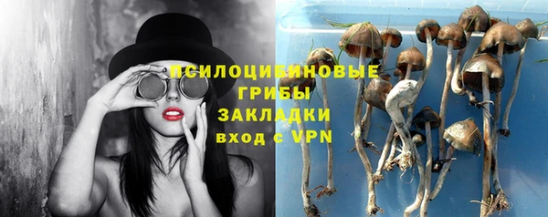 крисы Зеленодольск