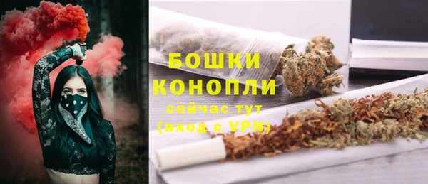 крисы Зеленодольск